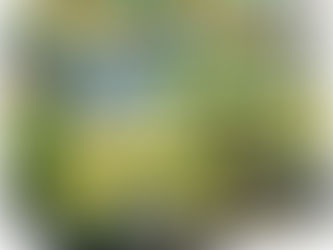 New Teenage Mutant Ninja Turtles: Classic Adventure Heroes Collection Box Set