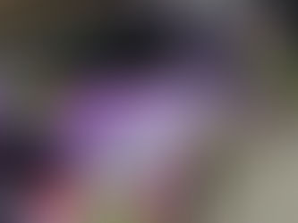 TMNT Mutant Mayhem Van Generates Buzz at Supanova Comic Con 2023