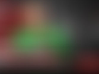 Mert Günok Türkiyə millisində karyerasını başa vurdu