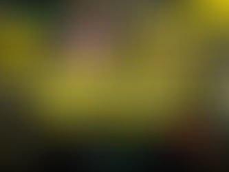 Konstantinos Karetsas Borussia Dortmund-un komanda məşqlərinə qayıtdı