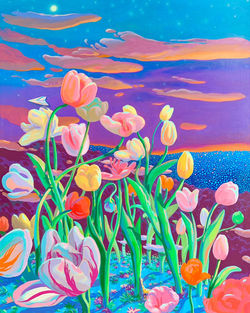 The tulips garden