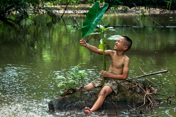 asian-little-boy-with-lotus-leaf-under-r