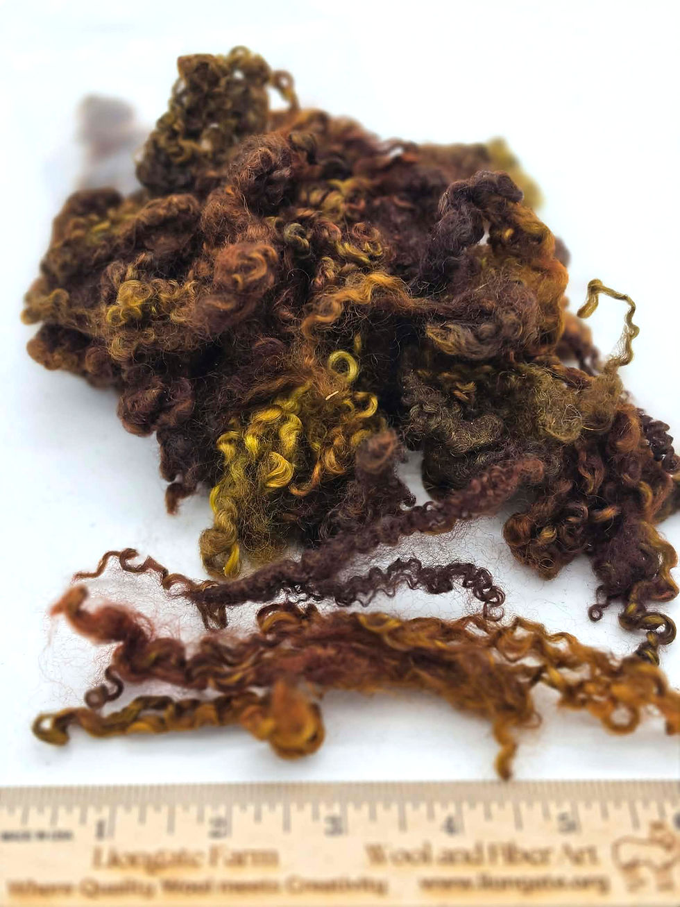 Bluefaced Leicester (BFL) Locks