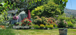 Guest House Garden