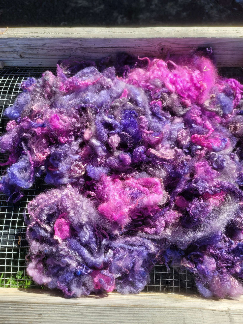dyed bfl locks