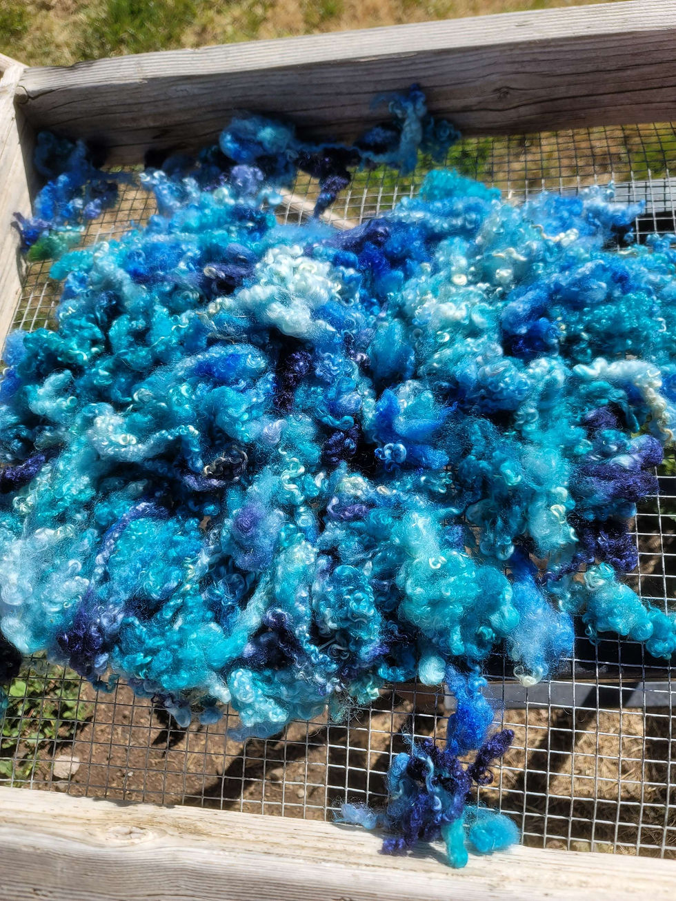 dyed bfl locks