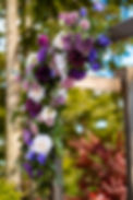DSC00558_Original.JPG
