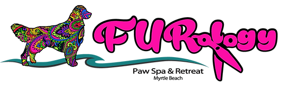 Furology Paw Spa Retreat Pet Spa Myrtle Beach United States