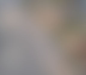 THW warnt: Übermäßiges Abpumpen gefährdet Gebäudestrukturen in Celle