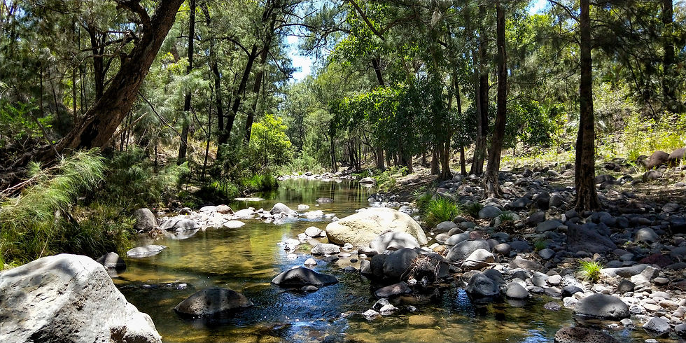 Black Alley Creek