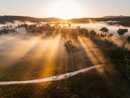 Beyond the Hiking Tracks: Discover the Carnarvon Gorge Most Visitors Never See