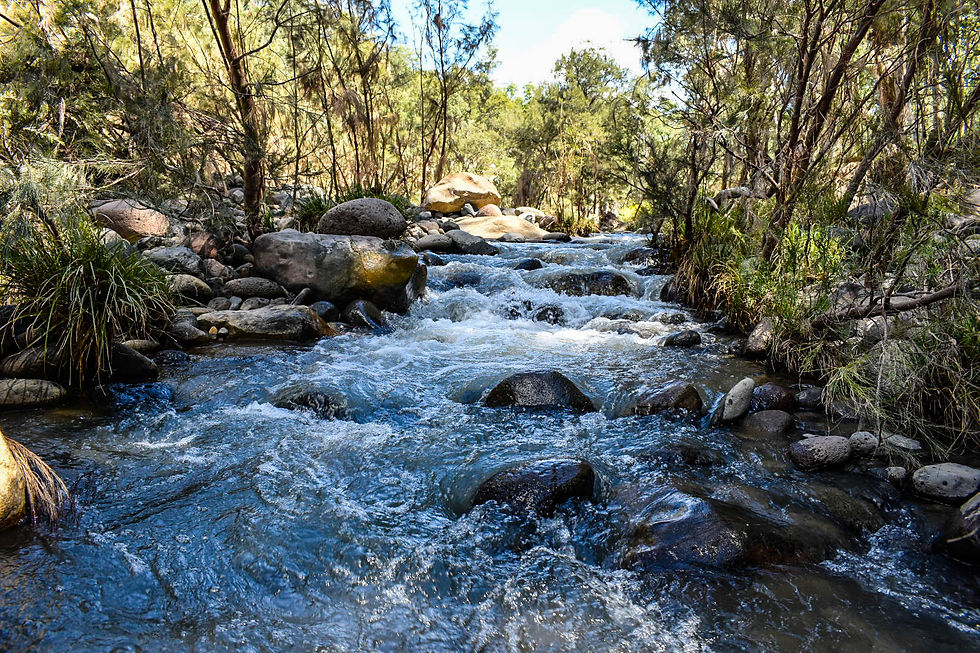 Consuelo Creek