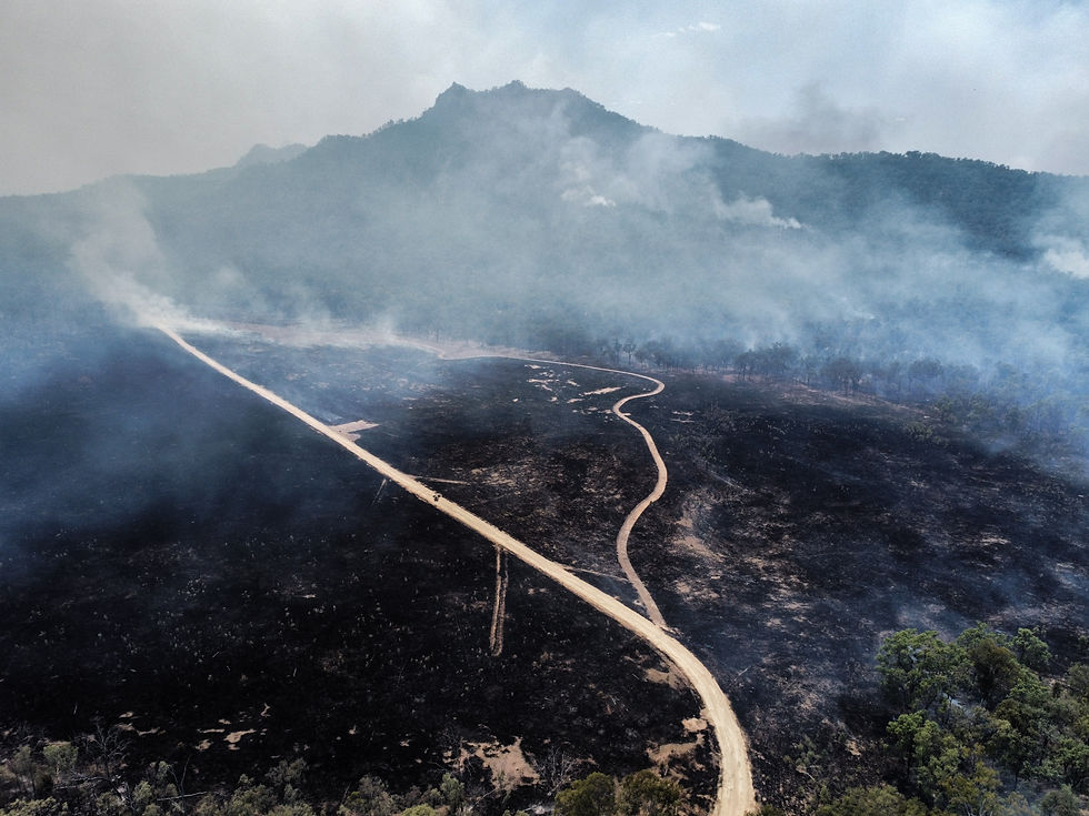 Burnt Landscape