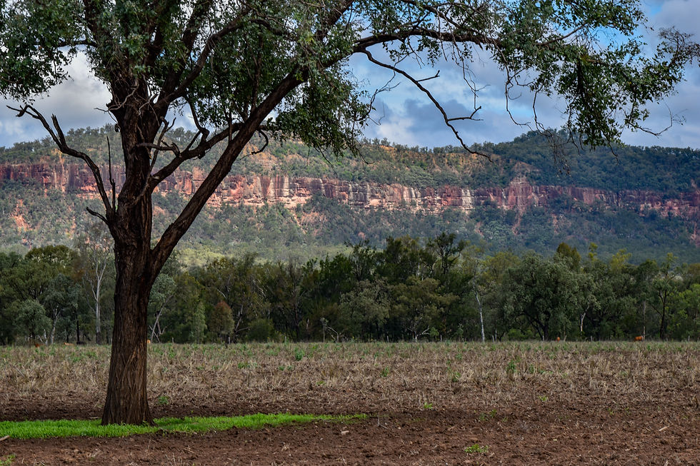 Mount Carnarvon - Nyanda