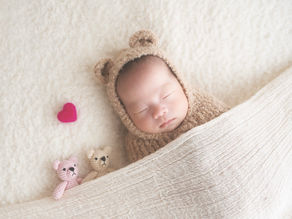 くま×くま×くま