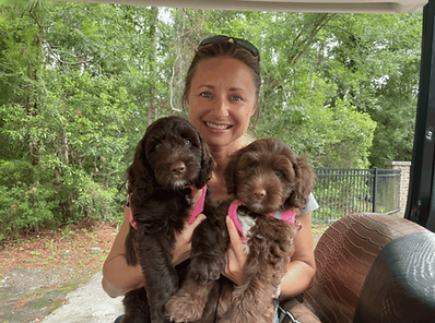 Rainmaker Ranch Labradoodle breeder