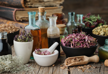 Welcome to our blog!