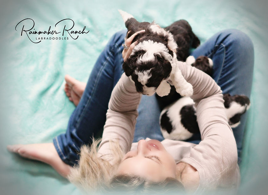 kids and labradoodle puppies