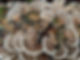 Finn Hill Topography, Finn Hill Neighborhood Alliance Kirkland, WA