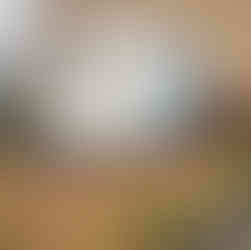 Emergency Freezer Trailer Rental for Bojangles in Lake City, South Carolina