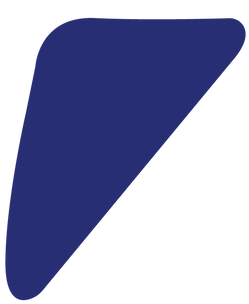 Shape-1.png