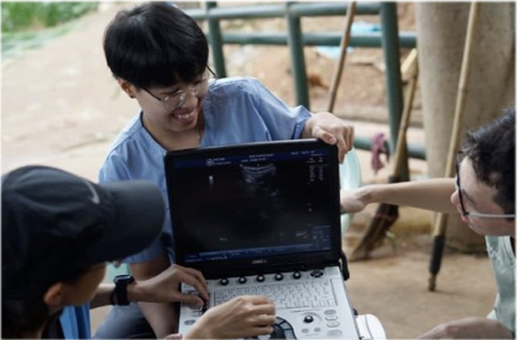 Elephant Care International