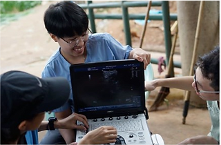 Elephant Care International