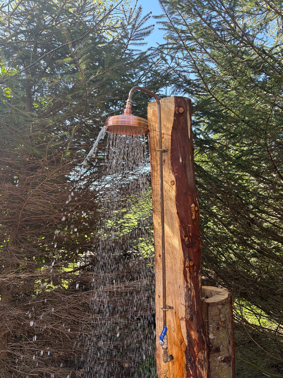 Rainforest Shower