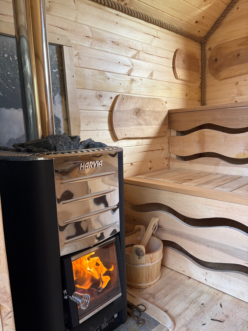 Sauna Inside
