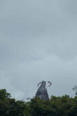 Virgen