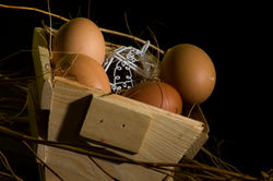 Huevos