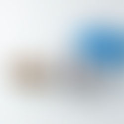 米子・皆生温泉のどら焼き専門店 「湯ノ塩」のどら焼きがふるさと納税に登場!