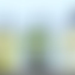 皆生温泉街で地元食材を使ったカフェドリンク