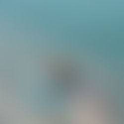 新感覚どら焼き「塩カリどら」