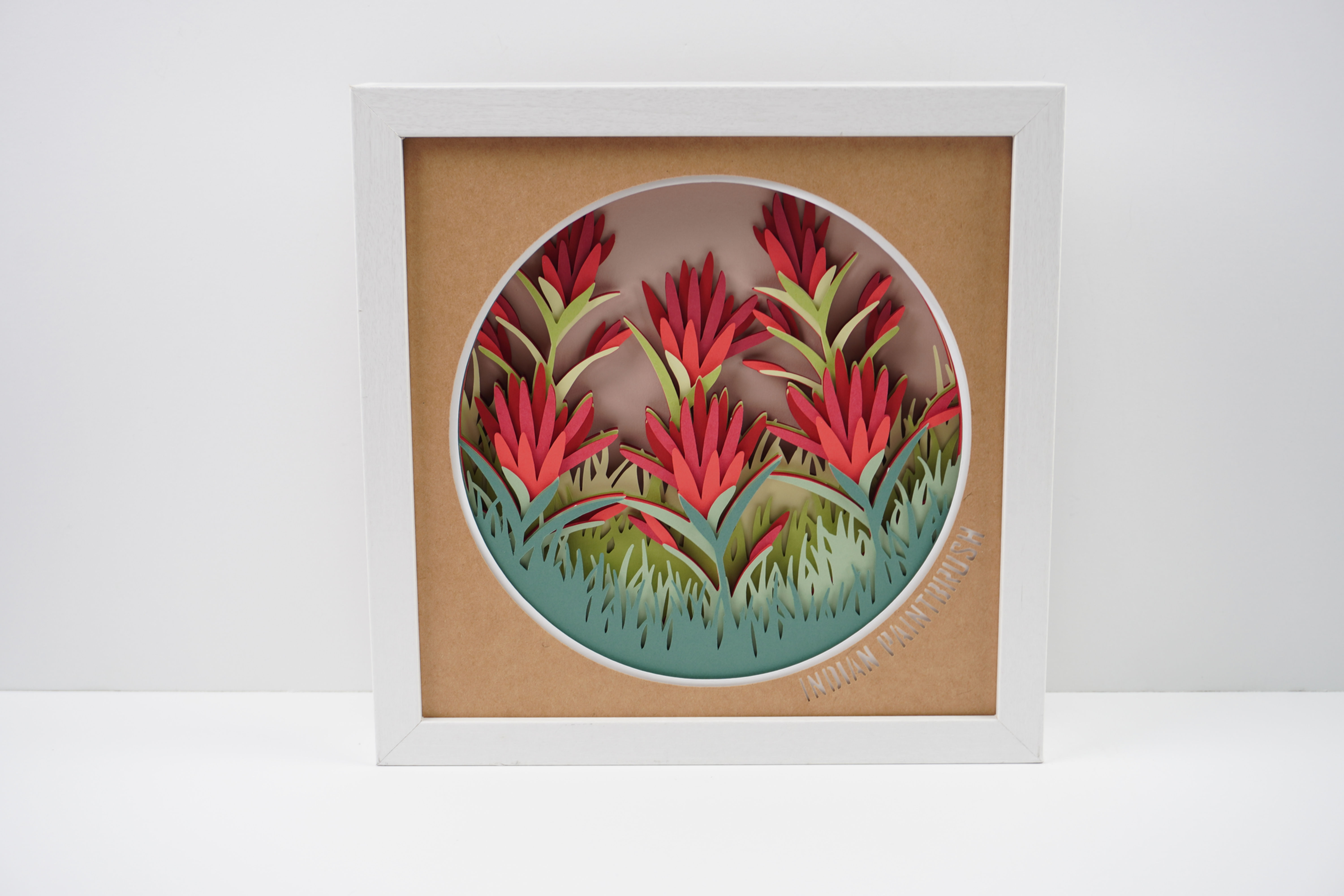 Indian Paintbrush 3D Shadow Box