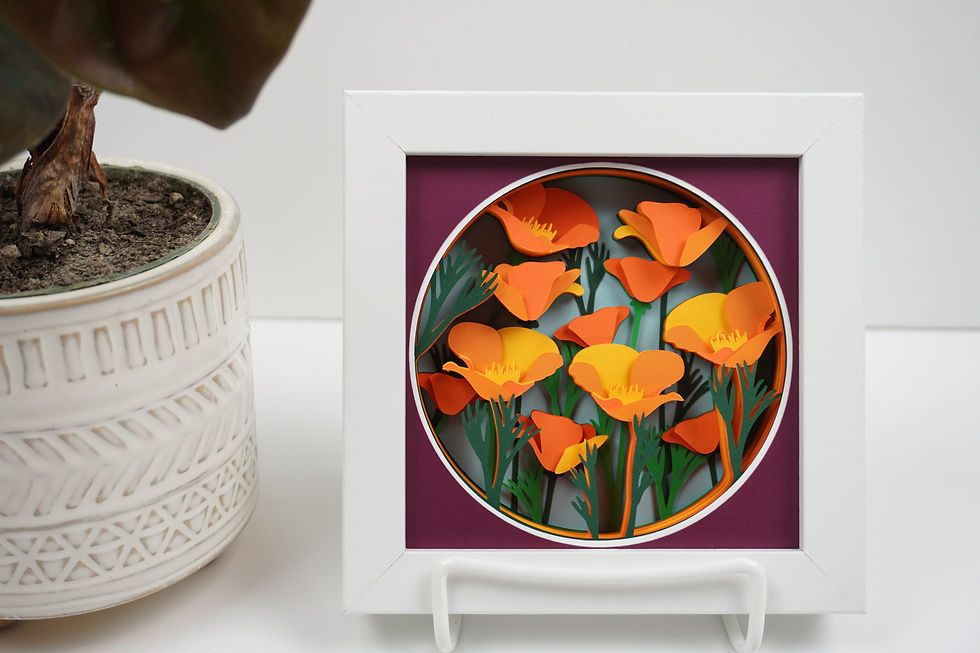 Thumbnail: California Poppy, 5 x 5,  3D Shadow Box