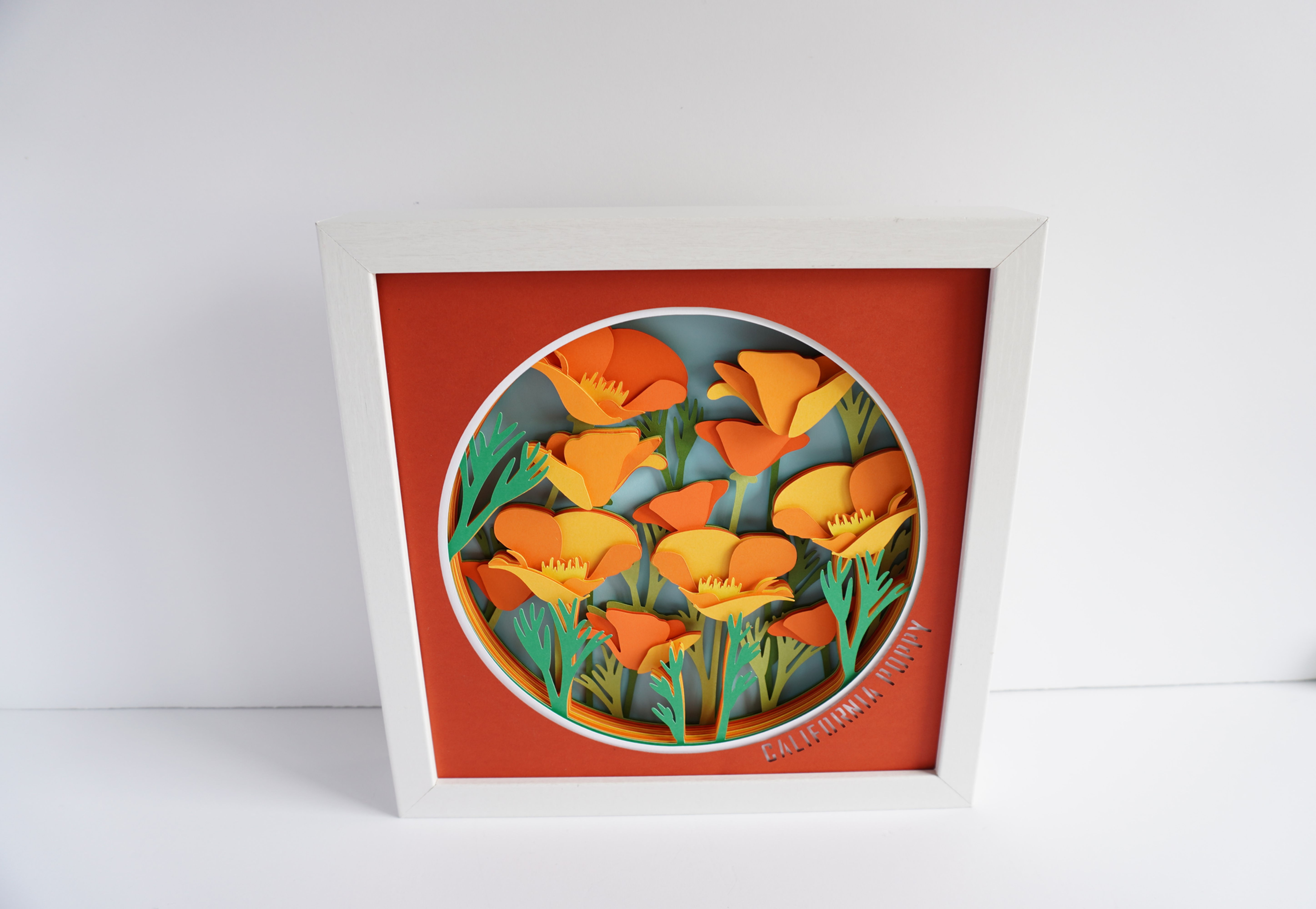 White framed 3d shadow box of California poppies