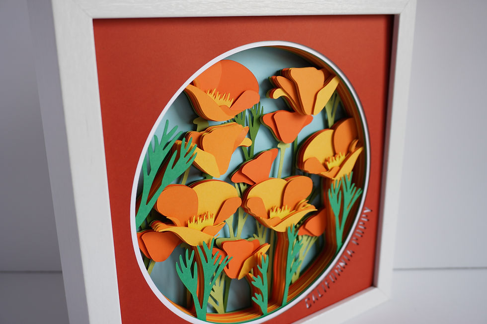 Thumbnail: White framed 3d shadow box of California poppies