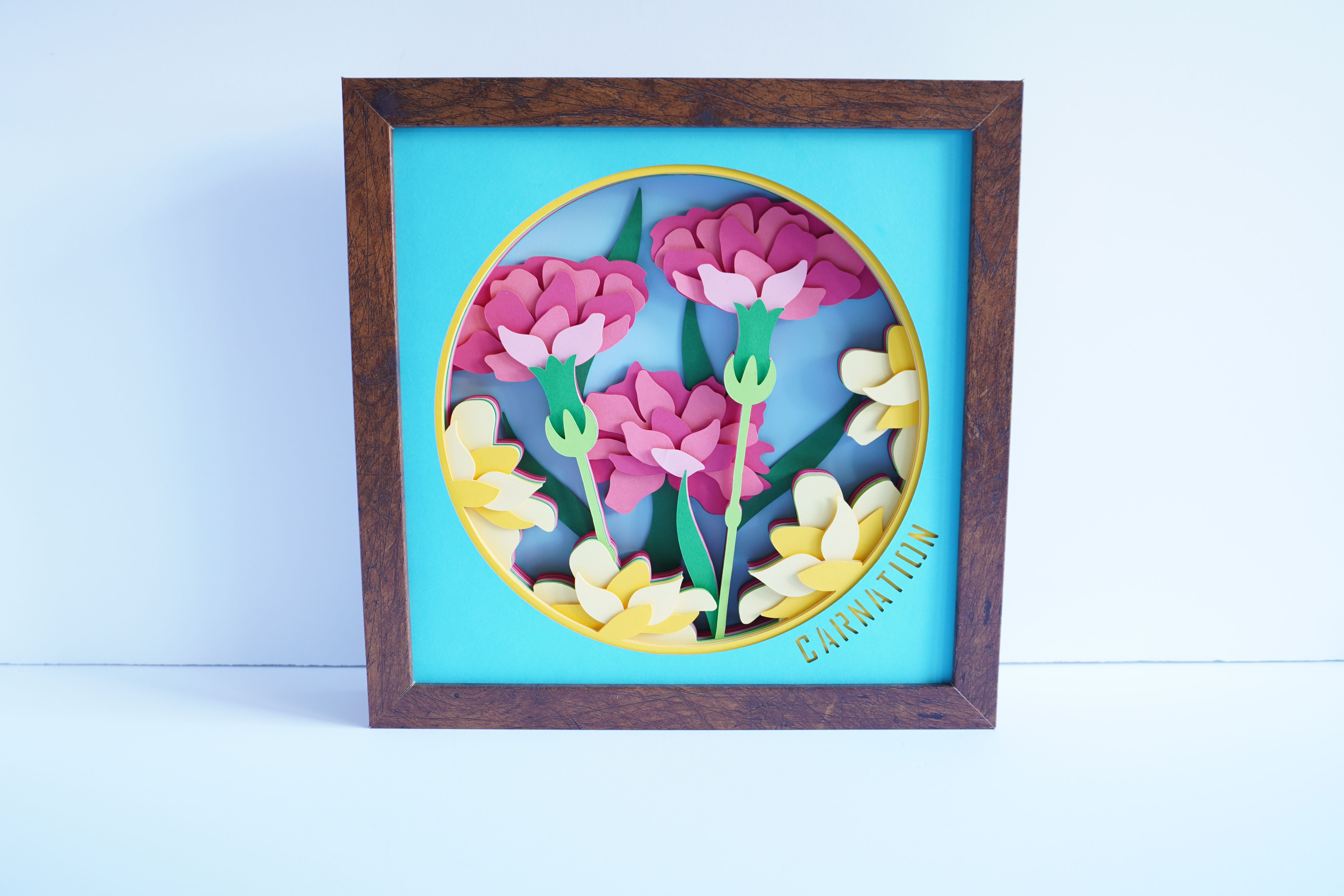 Carnation 3D Shadow Box