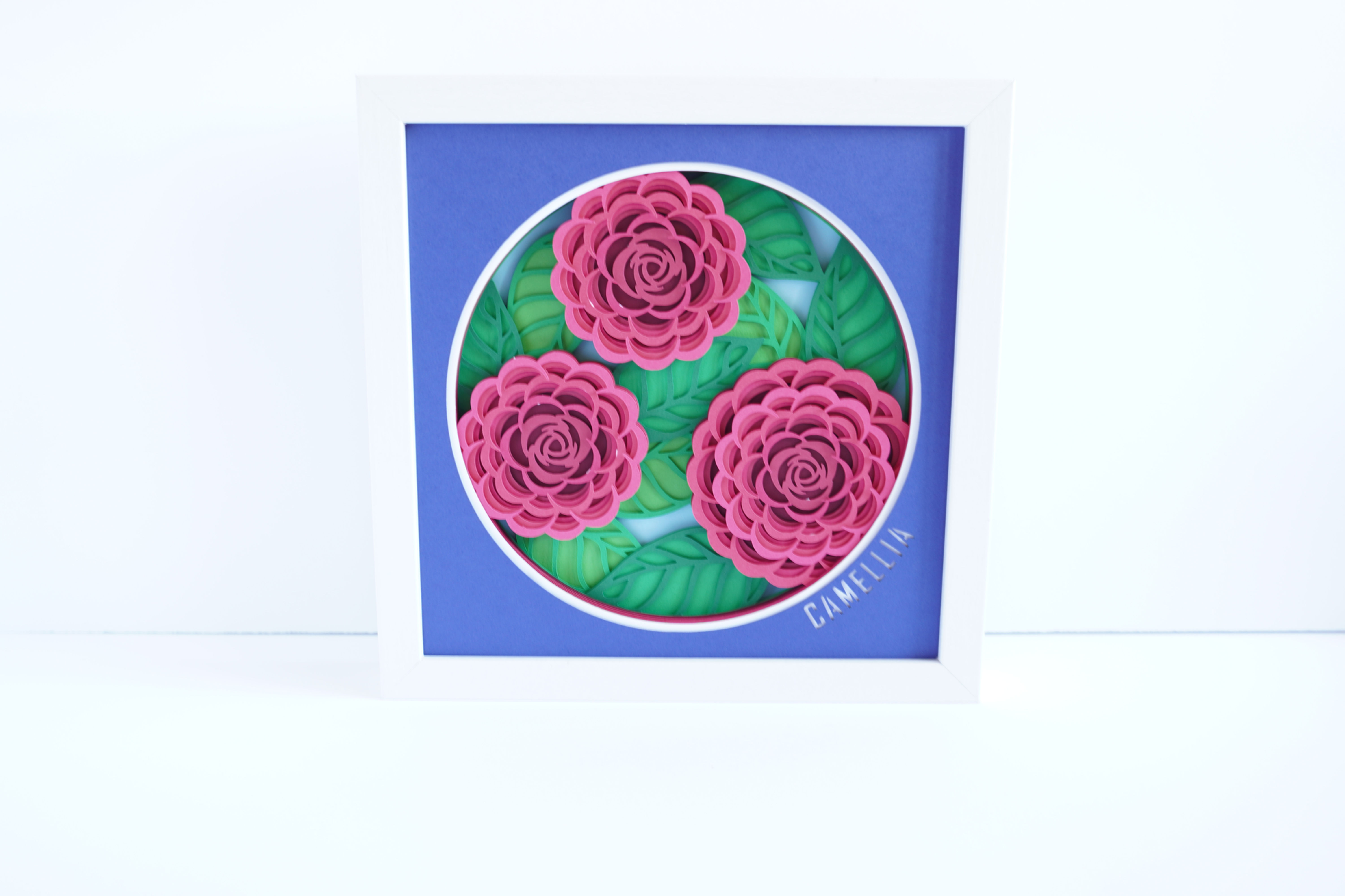 White framed 3d shadow box of a camellia