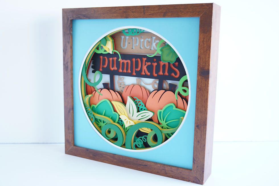 Thumbnail: Pumpkin Patch U-Pick Pumkins, 3D Shadow Box