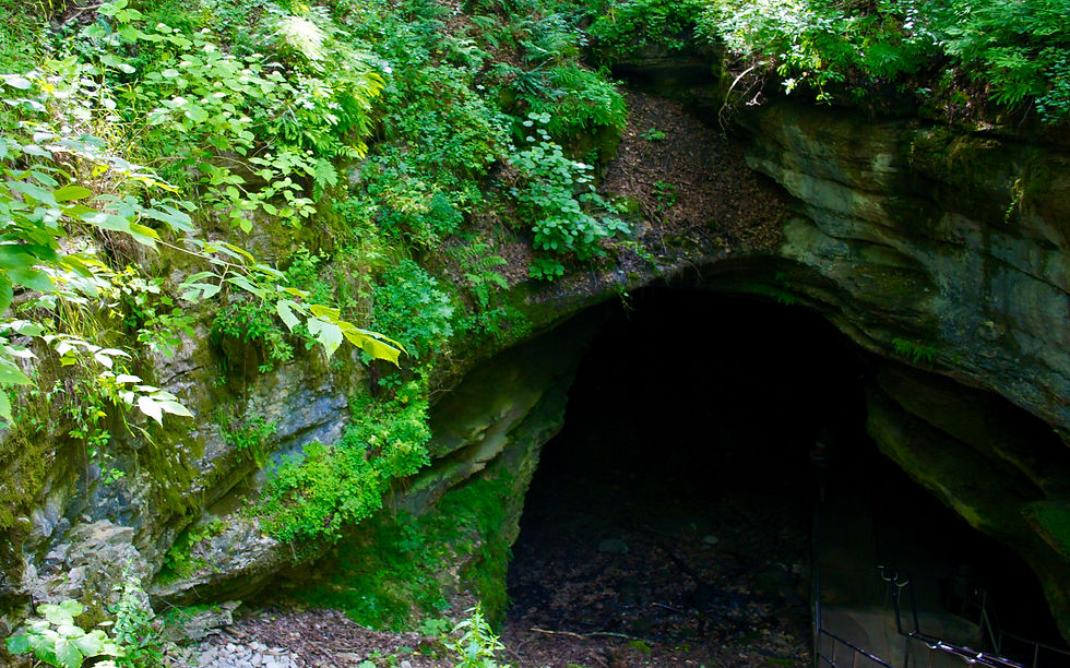 Mammoth Caves