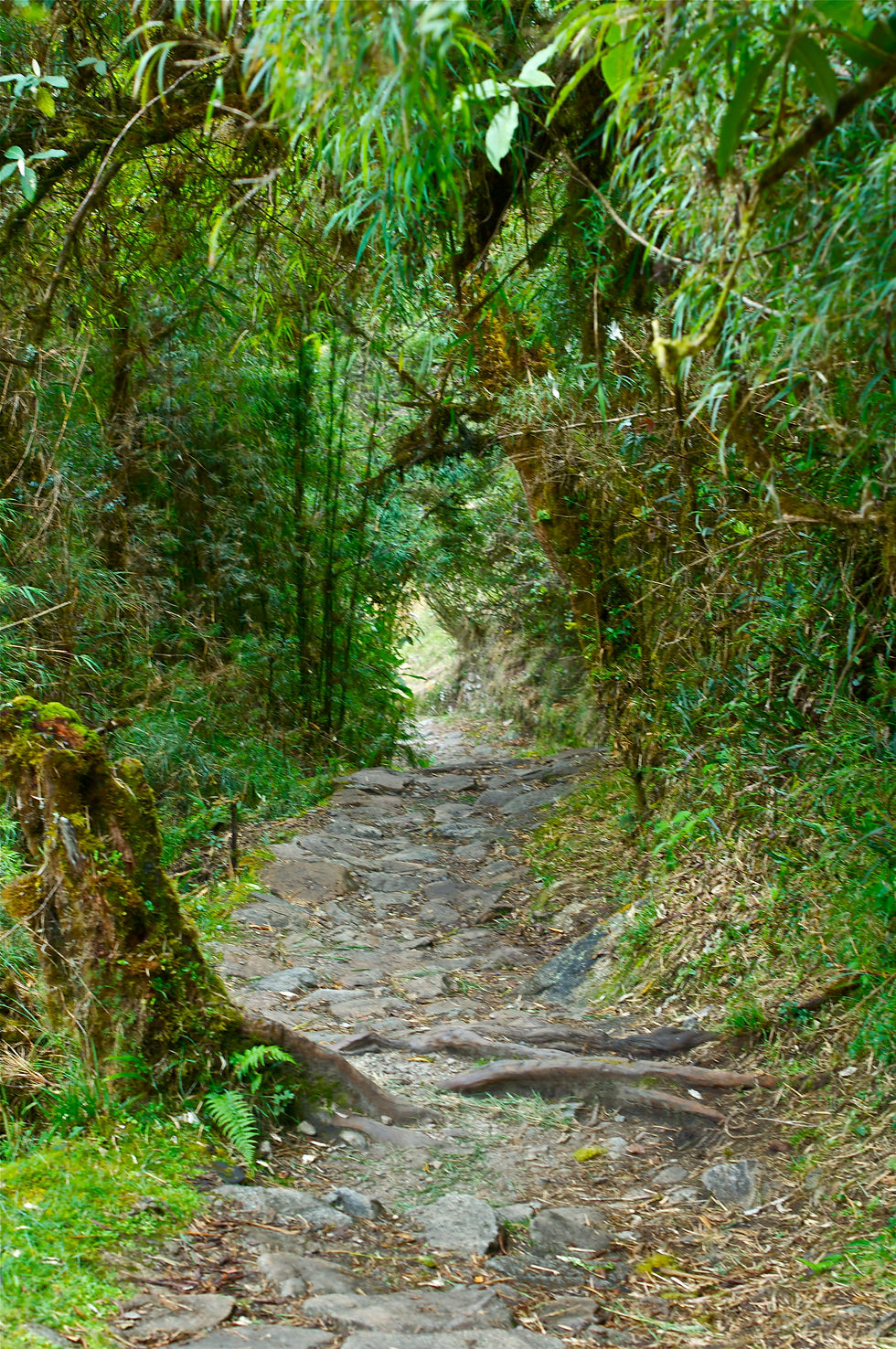 Inca Trail
