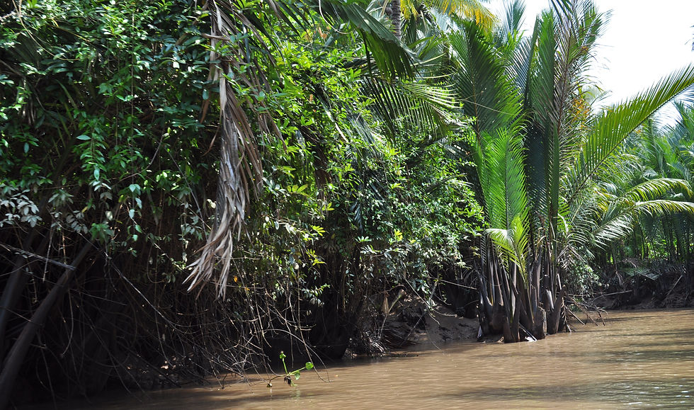 Mekong Delta