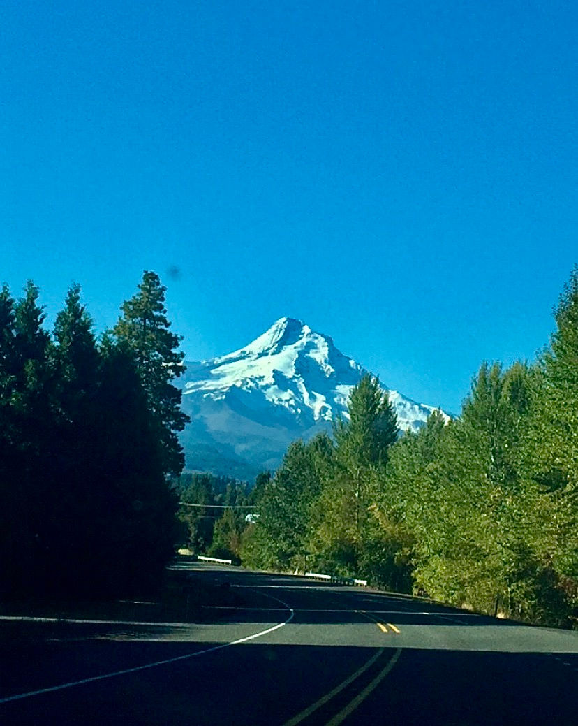 Mt. Hood