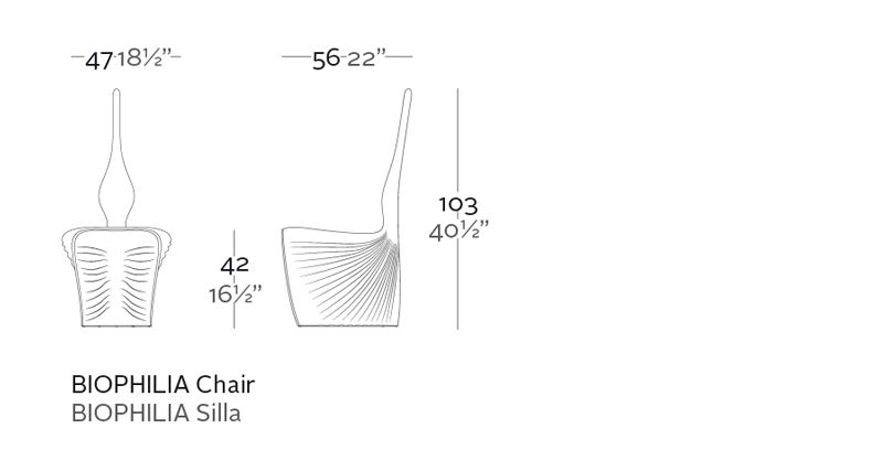 Miniatura: Biophilia