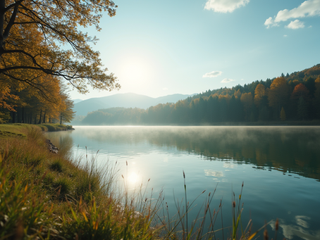 The Power of Mindfulness in Everyday Life