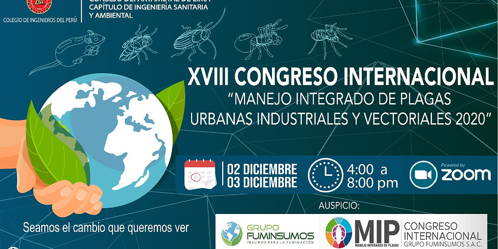 XVIII CONGRESO INTERNACIONAL MIP 2020