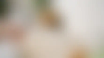 How to Prevent Ants Indoors for Good