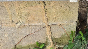 Termite Shelter Tubes